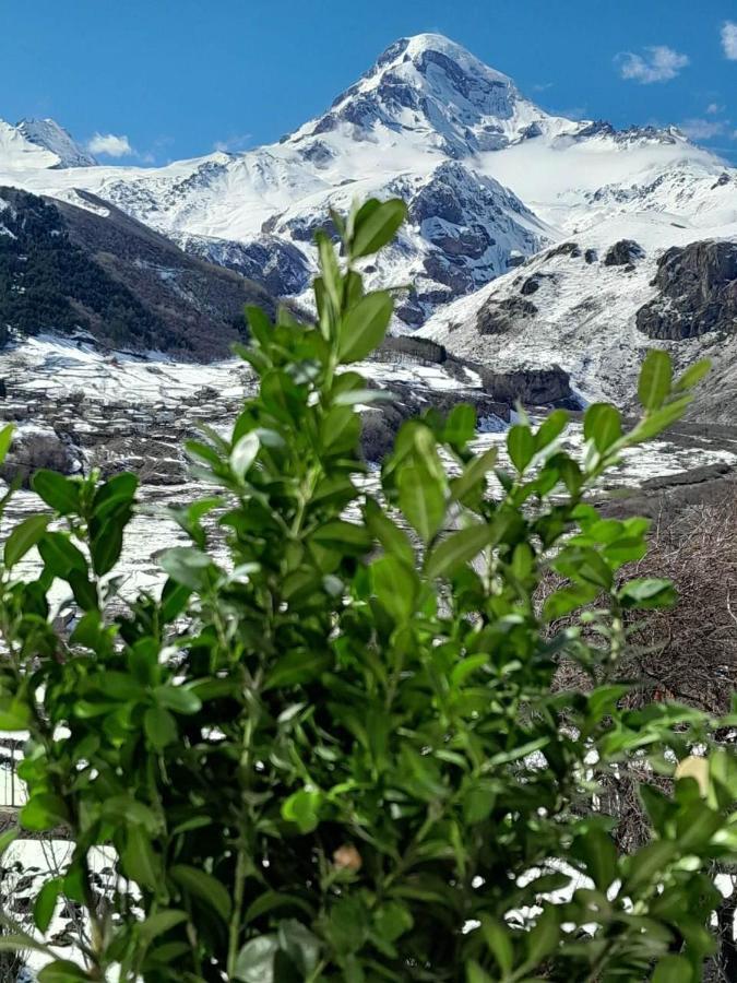 Emotion Kazbegi Appartement Buitenkant foto