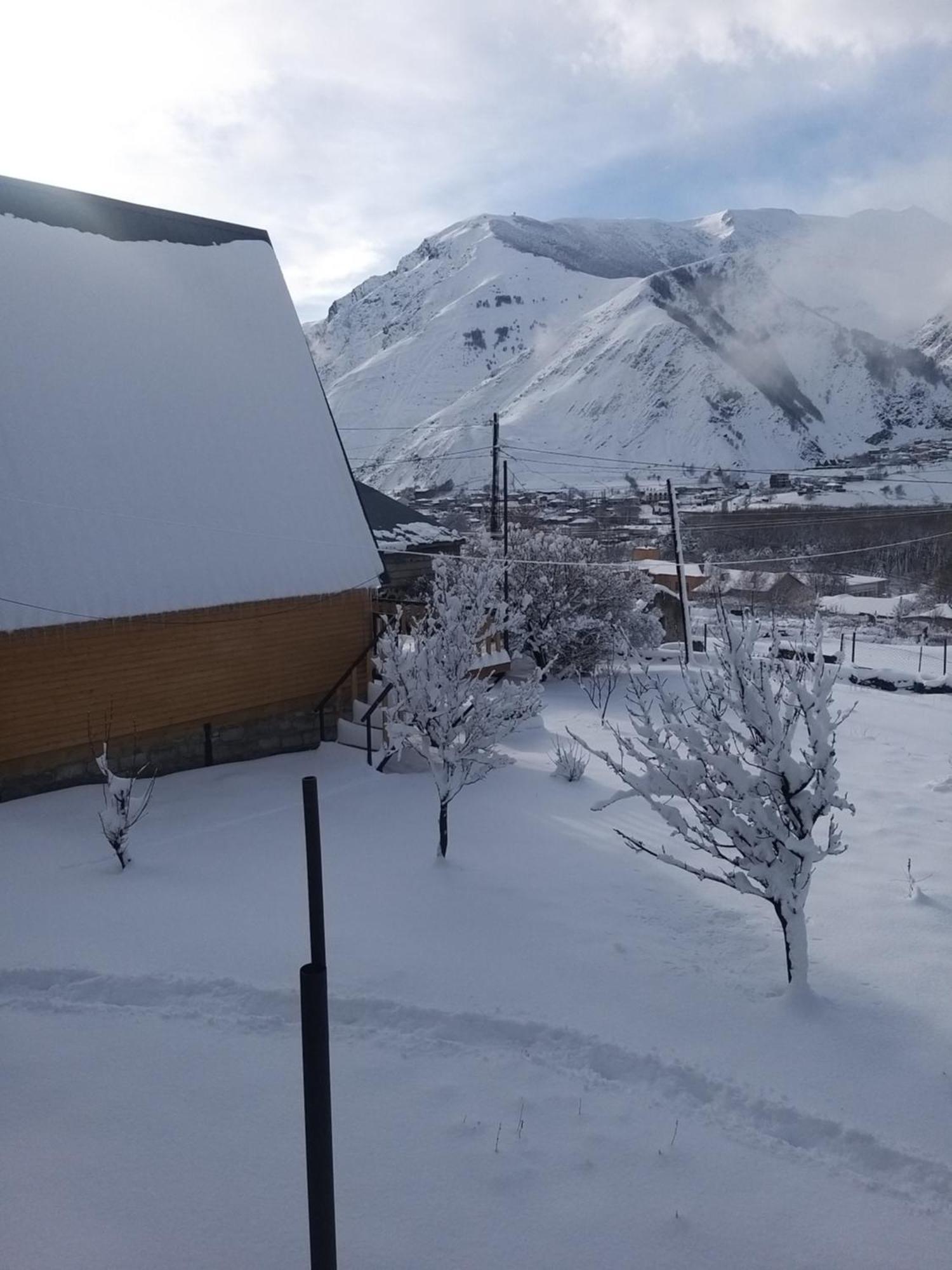 Emotion Kazbegi Appartement Kamer foto