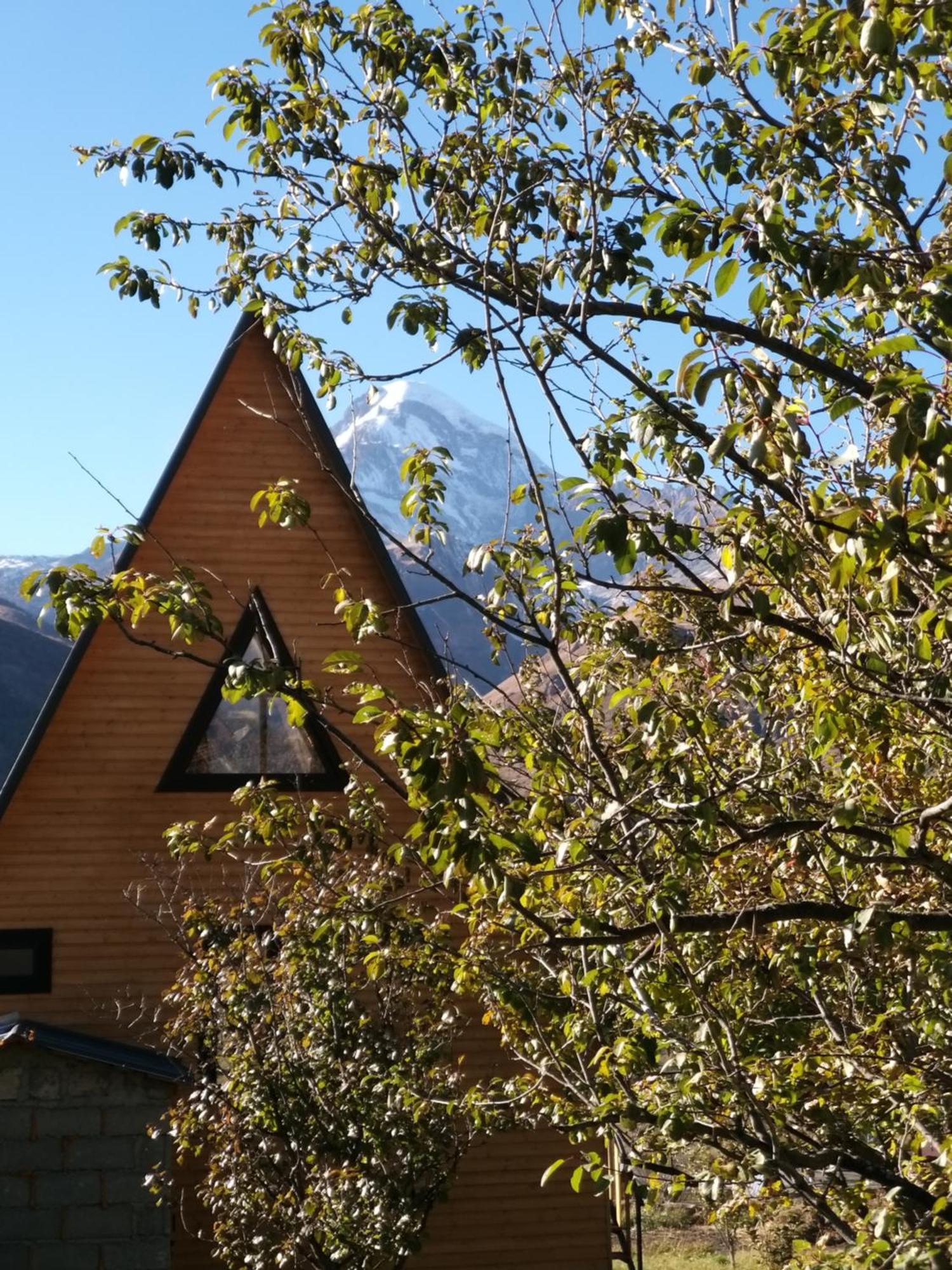Emotion Kazbegi Appartement Kamer foto